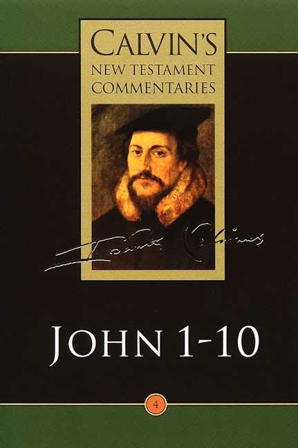 Cover image for John 1-10, isbn: 9780802808042