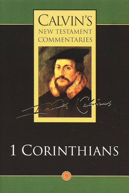Cover image for 1 Corinthians, isbn: 9780802808097