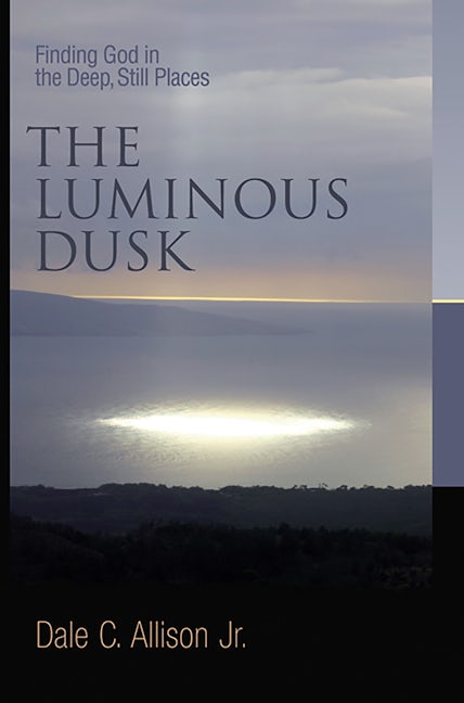 Cover image for The Luminous Dusk, isbn: 9780802832184