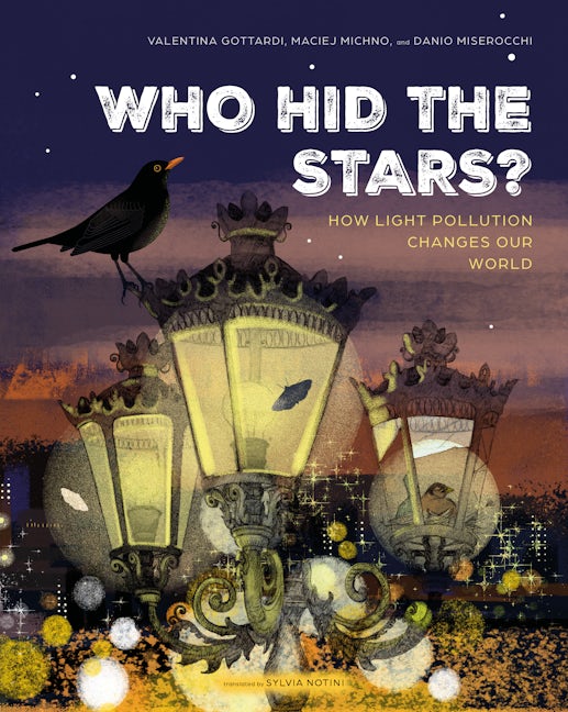 Cover image for Who Hid the Stars?, isbn: 9780802856517