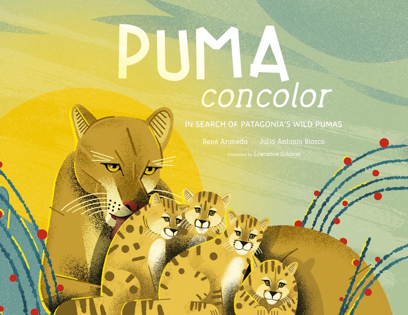 Cover image for Puma Concolor, isbn: 9780802856609