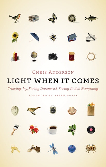 Cover image for Light When It Comes, isbn: 9780802873996