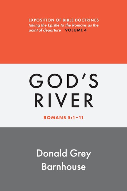 Cover image for Romans, vol 4: God's River, isbn: 9780802883643