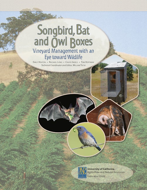 Cover image for Songbird, Bat, and Owl Boxes, isbn: 9781601074850
