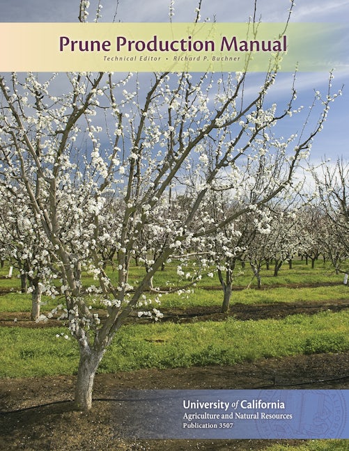 Cover image for Prune Production Manual, isbn: 9781601077028