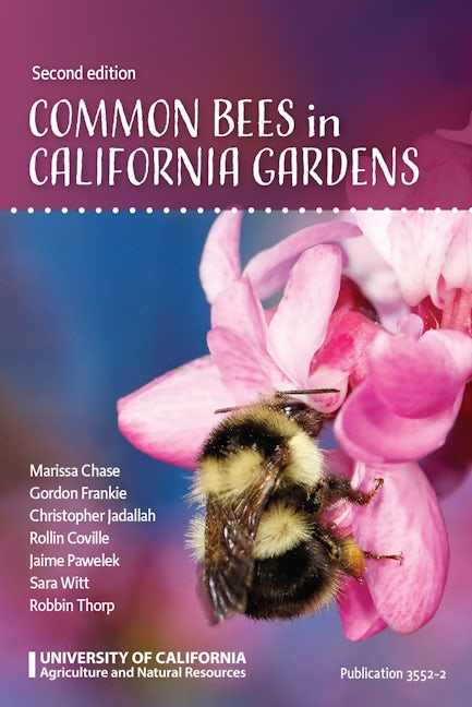 Cover image for Common Bees in California Gardens, isbn: 9781627111461
