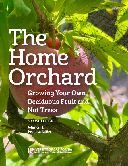 Cover image for Home Orchard, isbn: 9781627112208