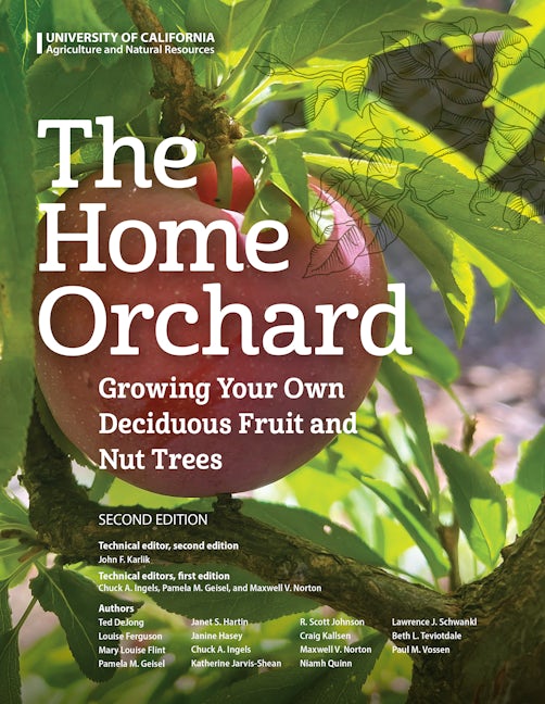 Cover image for Home Orchard, isbn: 9781627112208