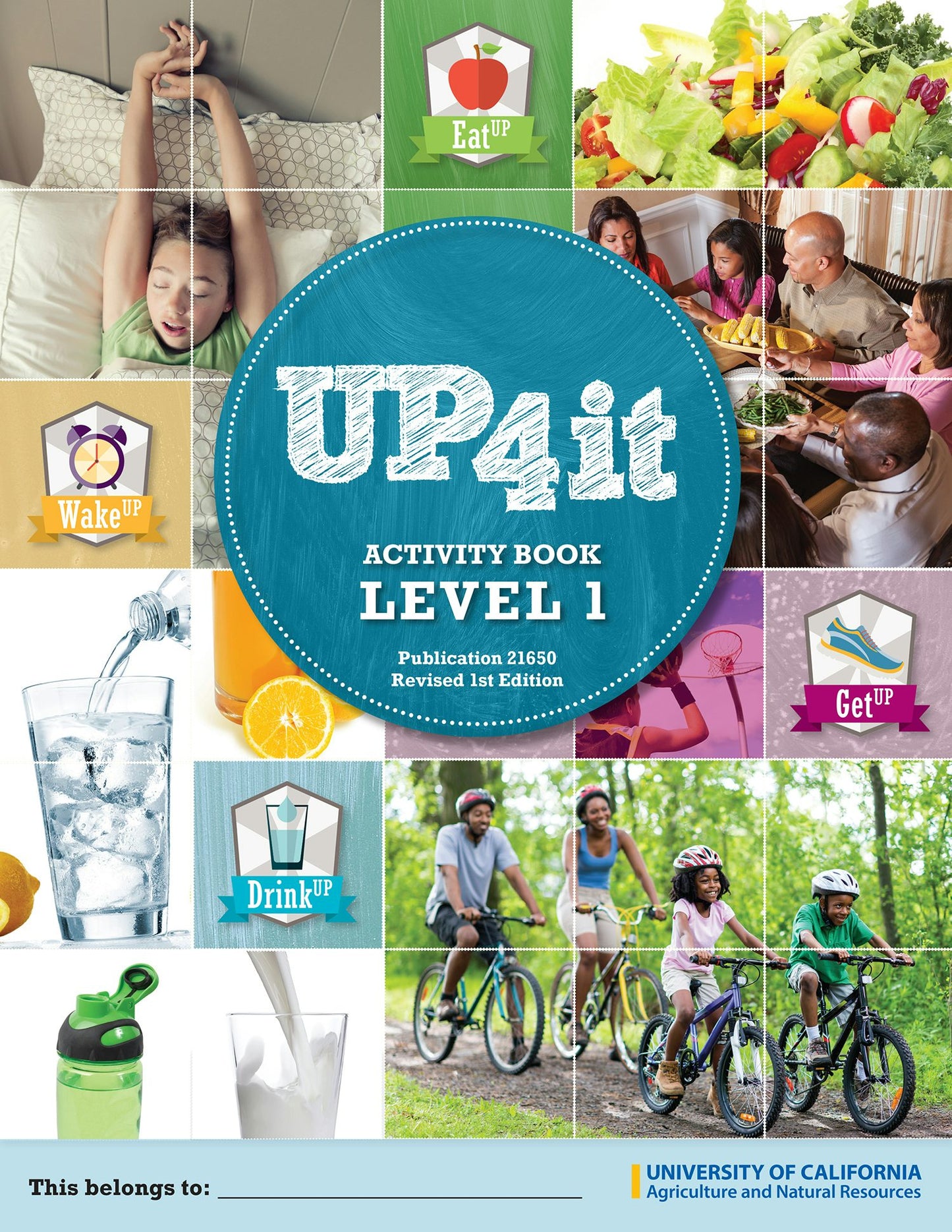 Cover image for UP4IT Level 1, isbn: 9781627112635
