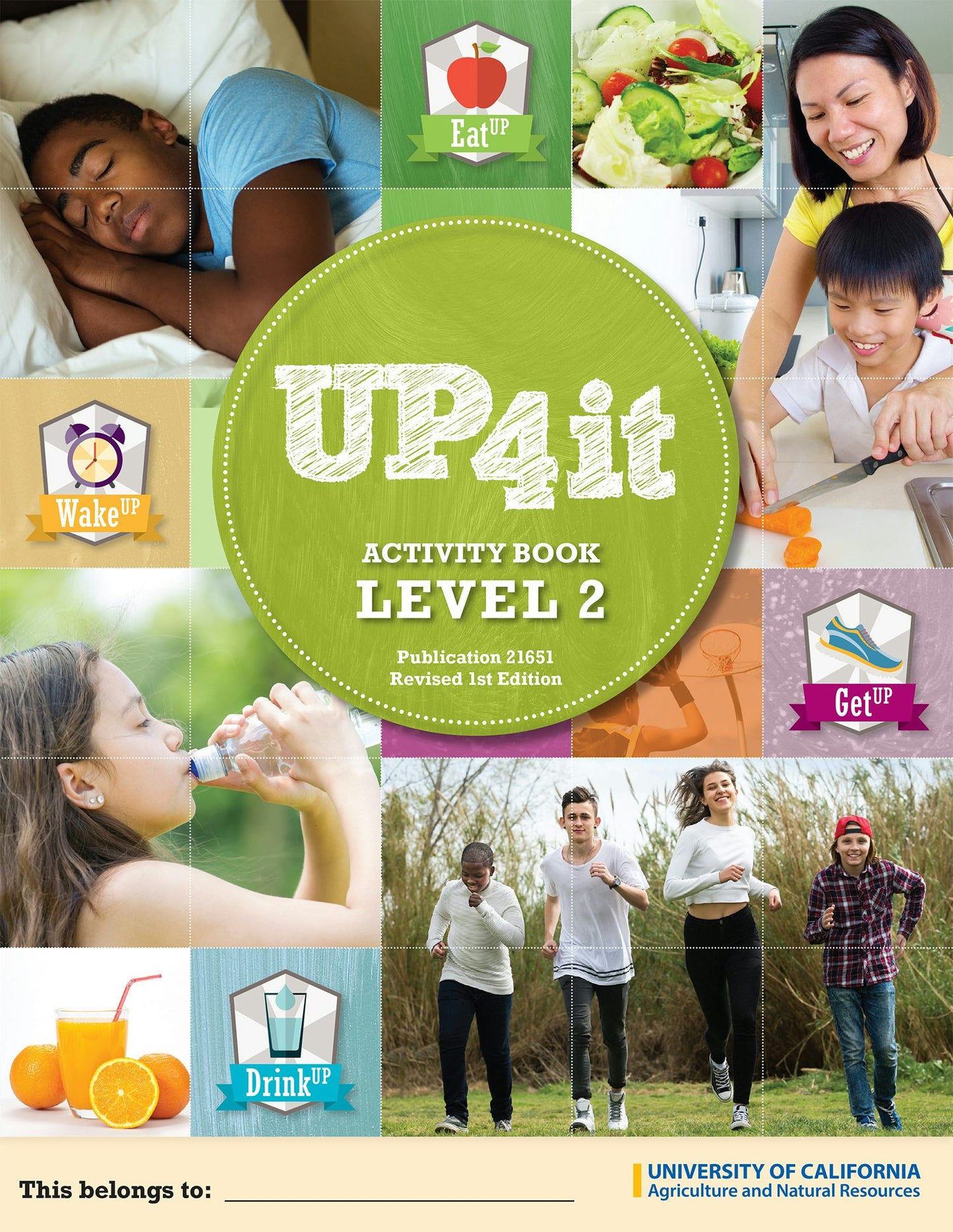 Cover image for UP4IT Level 2, isbn: 9781627112642