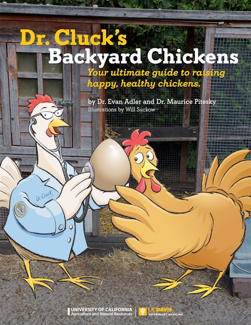 Cover image for Dr. Cluck's Backyard Chickens, isbn: 9781627112703
