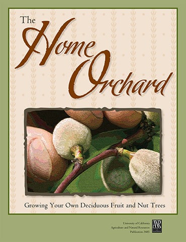 Cover image for Home Orchard, isbn: 9781879906723