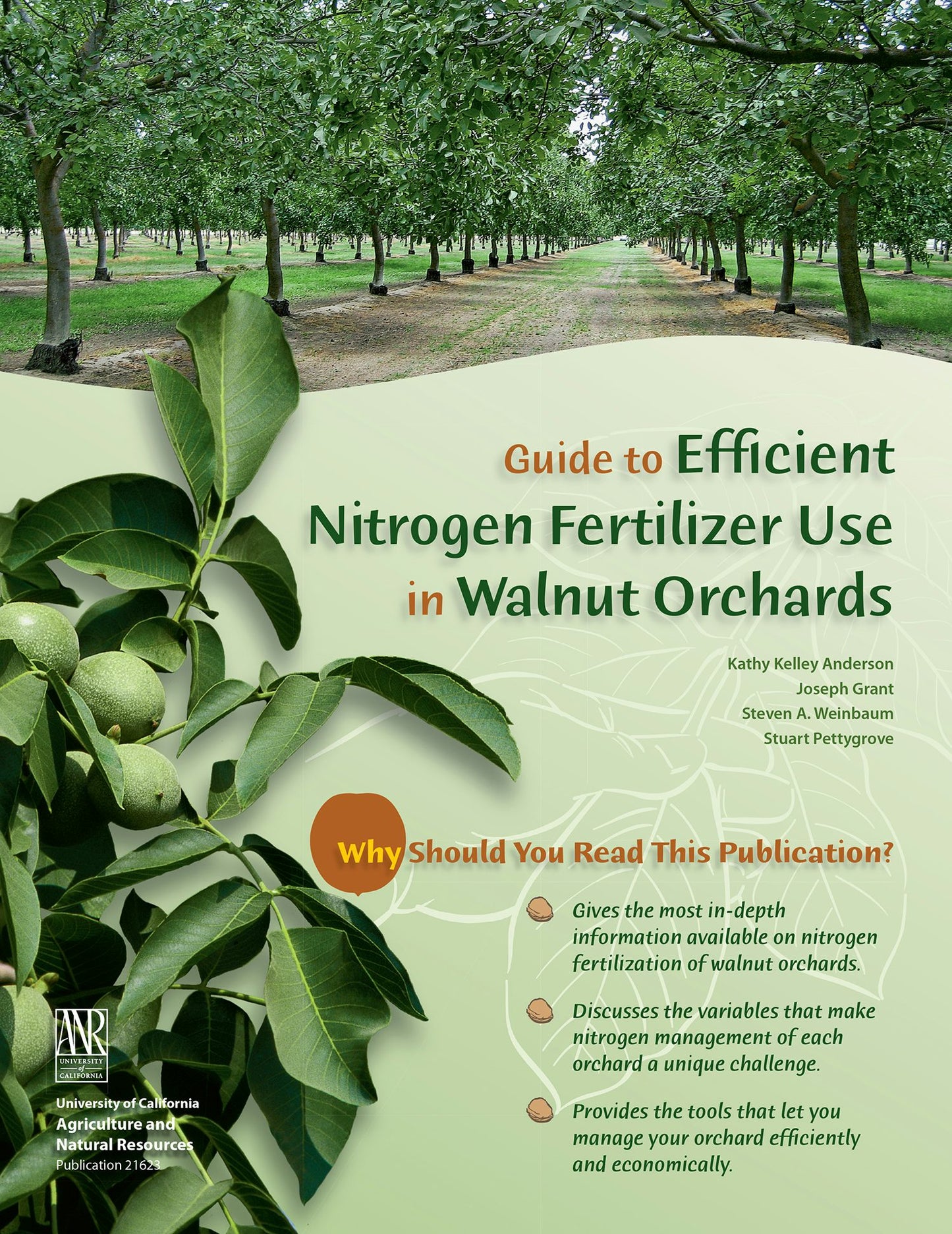 Cover image for Guide to Efficient Nitrogen Fertilizer Use in Walnut Orchards, isbn: 9781879906808