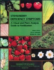 Cover image for Strawberry Deficiency Symptoms, isbn: 9781931876377