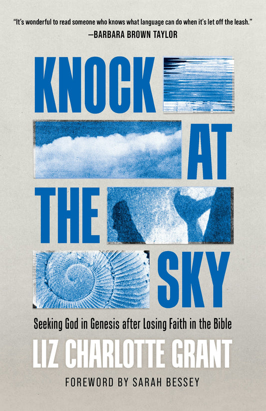 Cover image for Knock at the Sky, isbn: 9780802883759