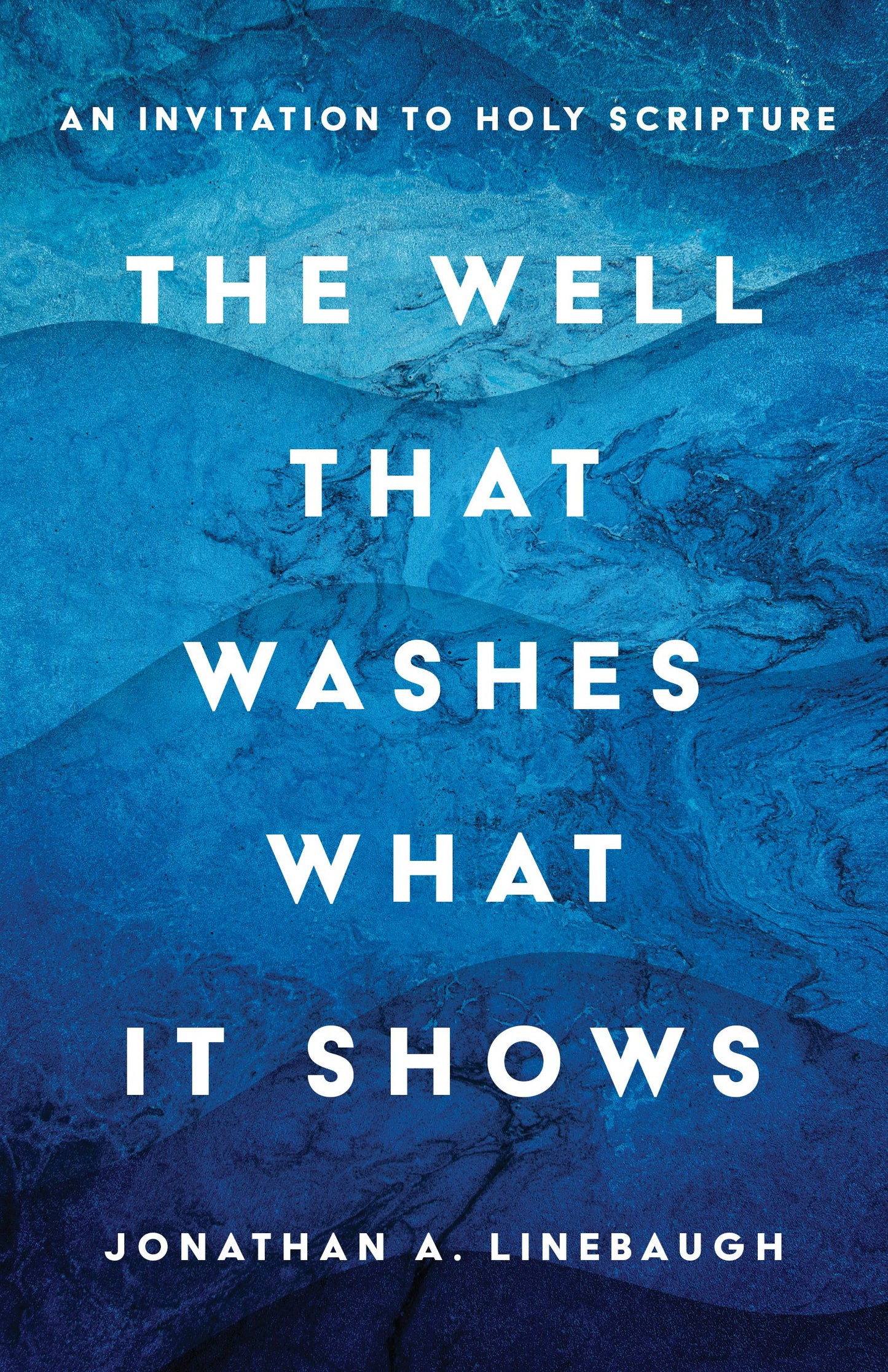 Cover image for The Well That Washes What It Shows, isbn: 9780802885487