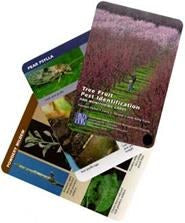 Cover image for Tree Fruit Pest and Monitoring Identification Cards, isbn: 9781601076342
